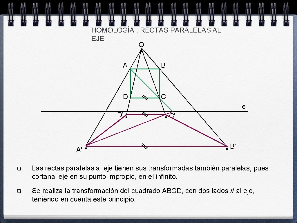 HOMOLOGÍA : RECTAS PARALELAS AL EJE. O . A B D C . D’