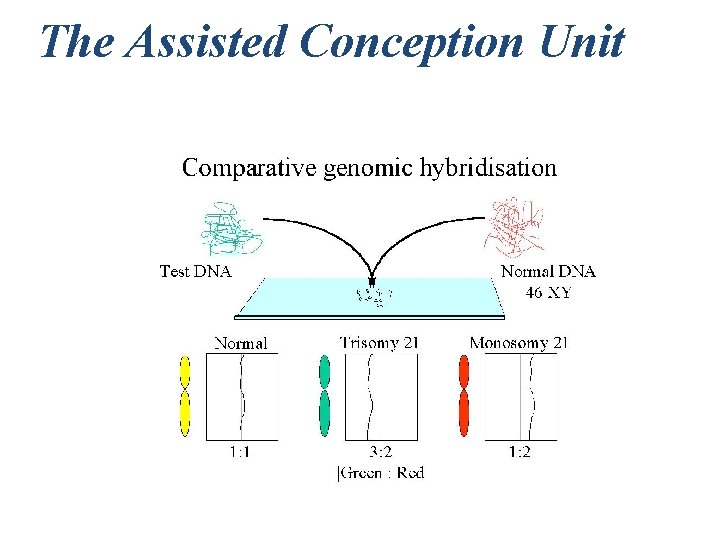 The Assisted Conception Unit 