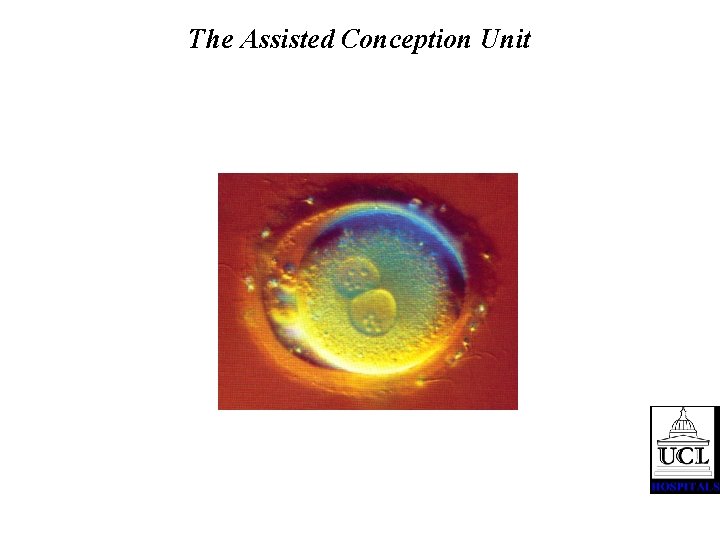 The Assisted Conception Unit 
