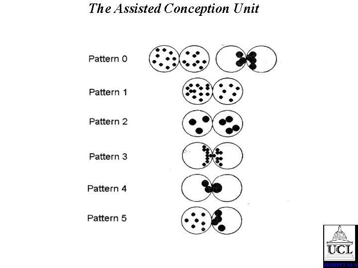 The Assisted Conception Unit 