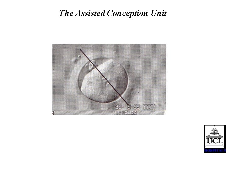 The Assisted Conception Unit 