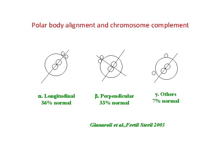 Polar body alignment and chromosome complement . Longitudinal 36% normal . Perpendicular 33% normal