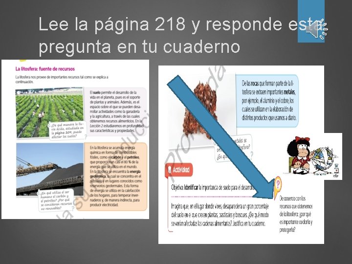 Lee la página 218 y responde esta pregunta en tu cuaderno 