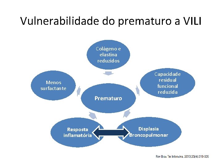 Vulnerabilidade do prematuro a VILI Colágeno e elastina reduzidos Menos surfactante Prematuro Resposta inflamatória