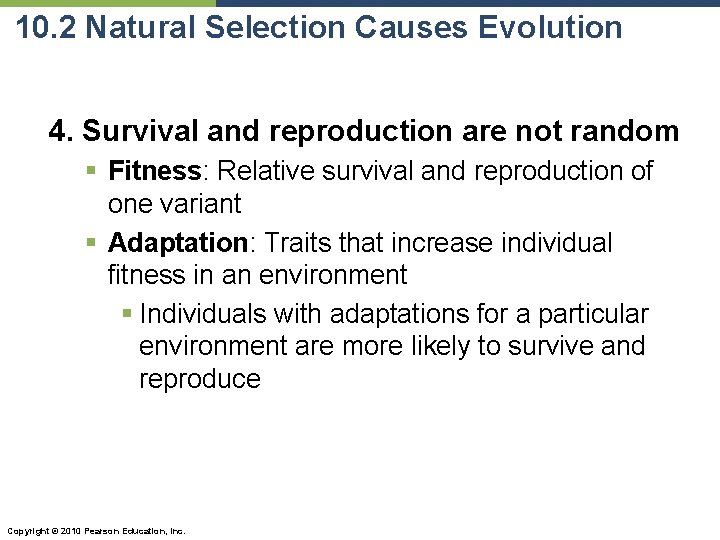 10. 2 Natural Selection Causes Evolution 4. Survival and reproduction are not random §