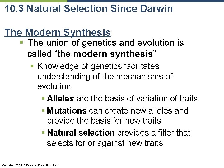 10. 3 Natural Selection Since Darwin The Modern Synthesis § The union of genetics