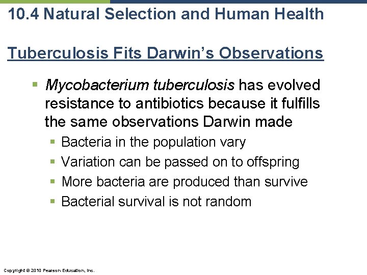 10. 4 Natural Selection and Human Health Tuberculosis Fits Darwin’s Observations § Mycobacterium tuberculosis