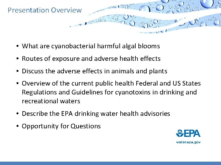 Presentation Overview • What are cyanobacterial harmful algal blooms • Routes of exposure and