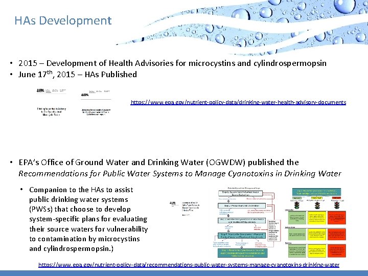 HAs Development • 2015 – Development of Health Advisories for microcystins and cylindrospermopsin •