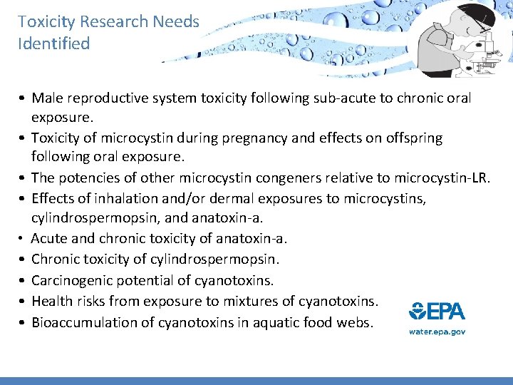 Toxicity Research Needs Identified • Male reproductive system toxicity following sub-acute to chronic oral