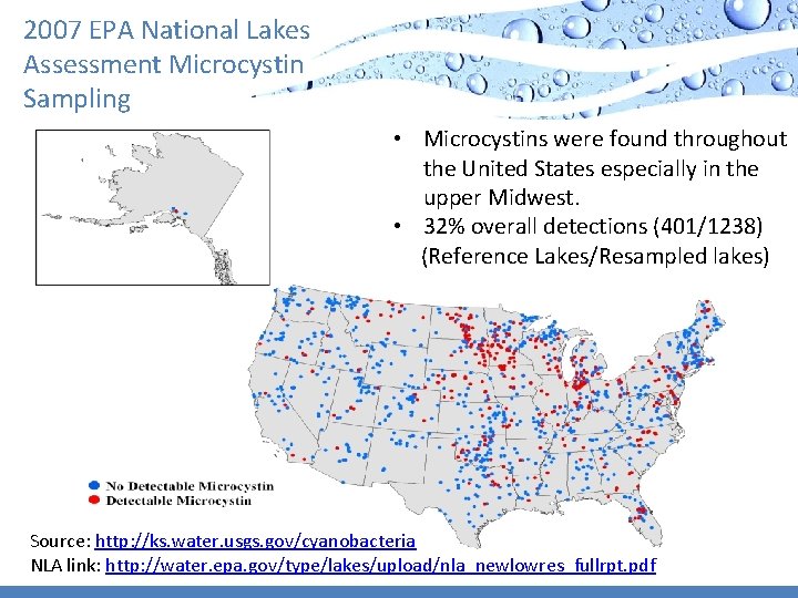 2007 EPA National Lakes Assessment Microcystin Sampling • Microcystins were found throughout the United