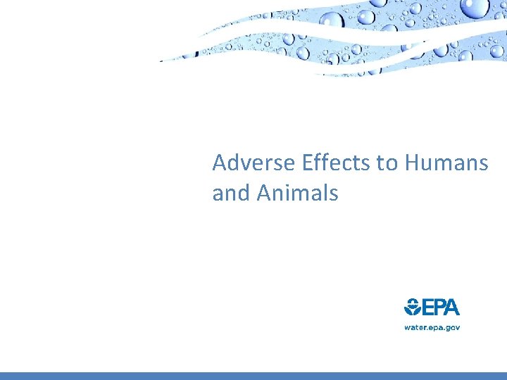 Adverse Effects to Humans and Animals 