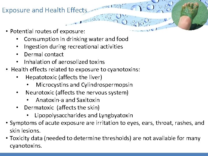 Exposure and Health Effects • Potential routes of exposure: • Consumption in drinking water