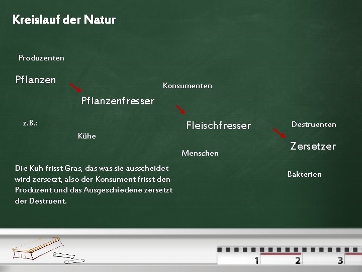 Kreislauf der Natur Produzenten Pflanzen Konsumenten Pflanzenfresser z. B. : Kühe Fleischfresser Menschen Die