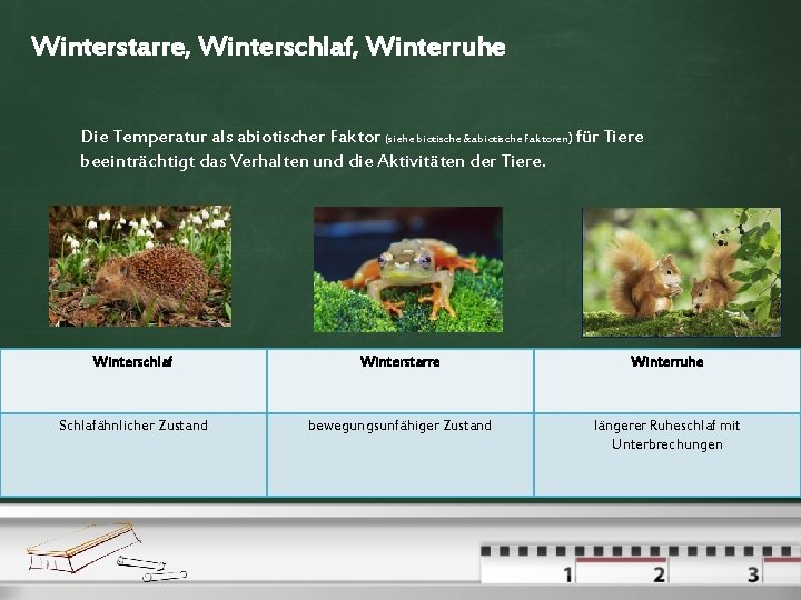 Winterstarre, Winterschlaf, Winterruhe Die Temperatur als abiotischer Faktor (siehe biotische &abiotische Faktoren) für Tiere