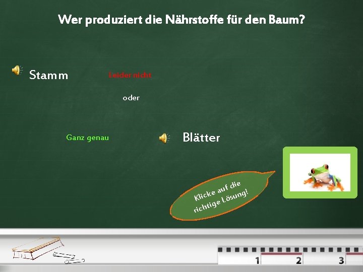 Wer produziert die Nährstoffe für den Baum? Stamm Leider nicht oder Ganz genau Blätter