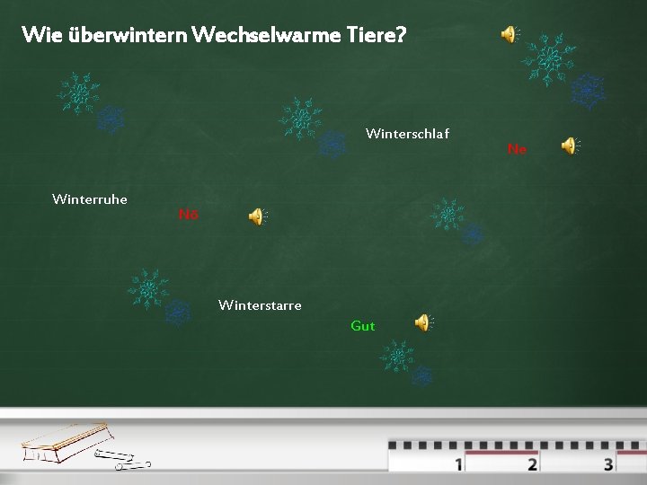 Wie überwintern Wechselwarme Tiere? Winterschlaf Winterruhe Nö Winterstarre Gut Ne 