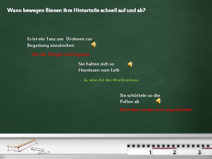 Wann bewegen Bienen ihre Hinterteile schnell auf und ab? Es ist ein Tanz um