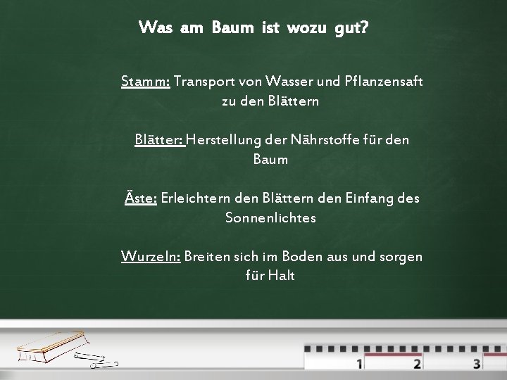 Was am Baum ist wozu gut? Stamm: Transport von Wasser und Pflanzensaft zu den