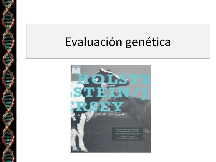 Evaluación genética 