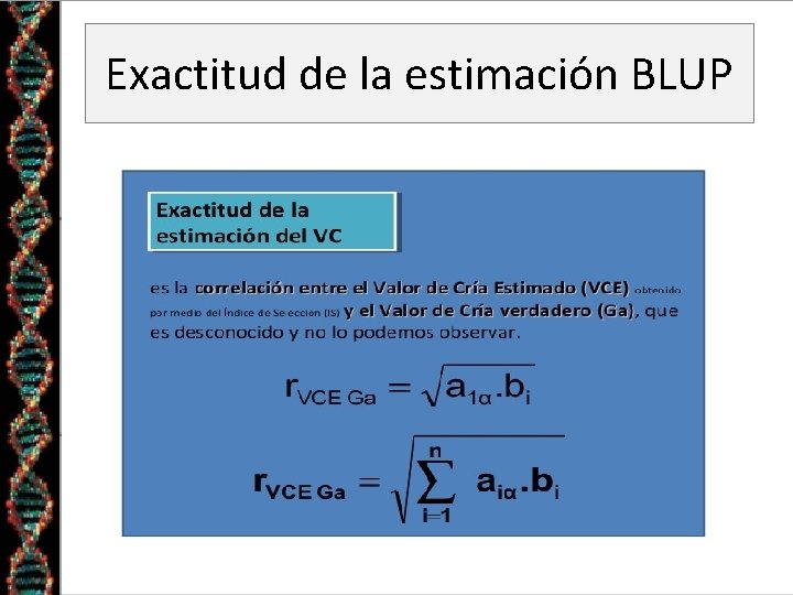 Exactitud de la estimación BLUP 