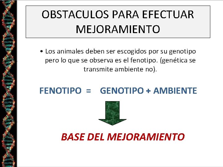 OBSTACULOS PARA EFECTUAR MEJORAMIENTO • Los animales deben ser escogidos por su genotipo pero