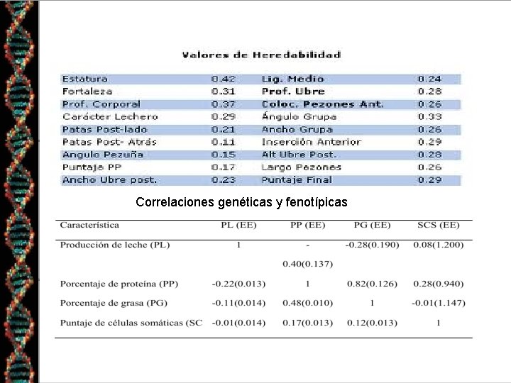 Correlaciones genéticas y fenotípicas 