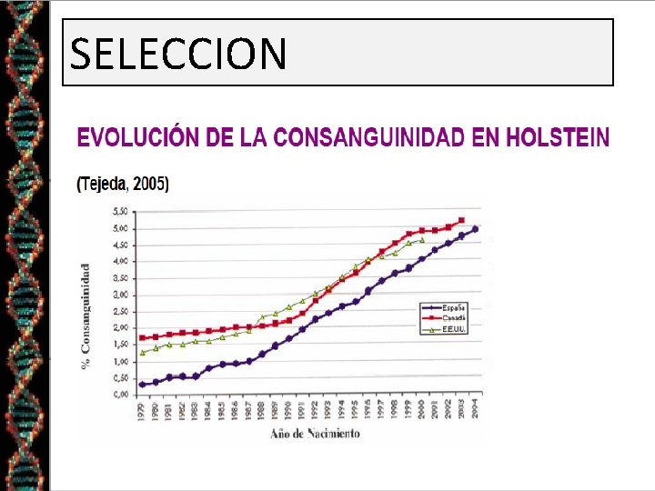 SELECCION SELECCION