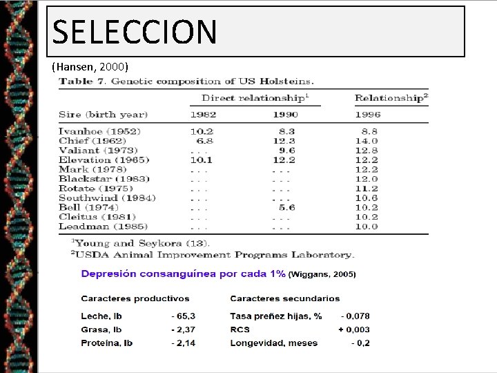 SELECCION (Hansen, 2000) SELECCION (Hansen, 2000)