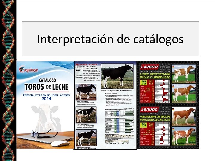Interpretación de catálogos Interpretación de catálogos