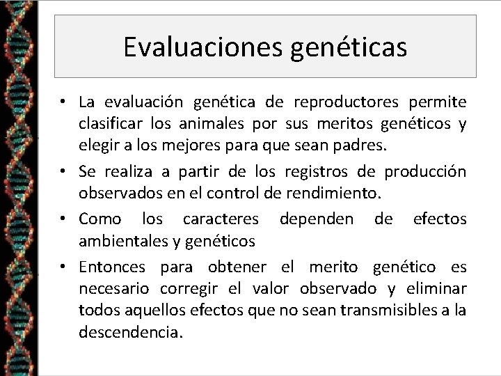 Evaluaciones genéticas • La evaluación genética de reproductores permite clasificar los animales por sus