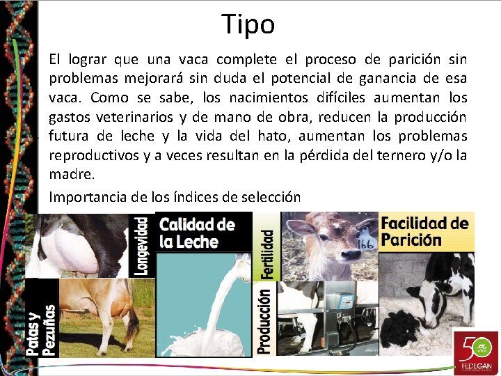 Tipo • El lograr que una vaca complete el proceso de parición sin problemas