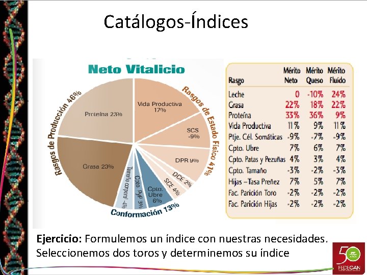 Catálogos-Índices Ejercicio: Formulemos un índice con nuestras necesidades. Seleccionemos dos toros y determinemos su