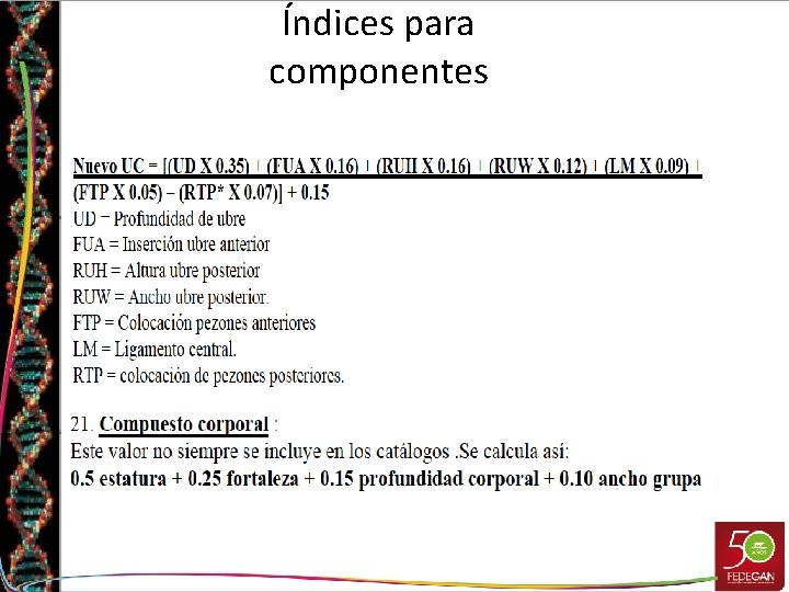 Índices para componentes Índices para componentes