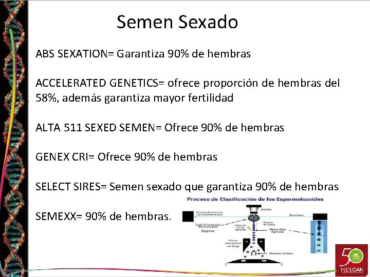 Semen Sexado ABS SEXATION= Garantiza 90% de hembras ACCELERATED GENETICS= ofrece proporción de hembras