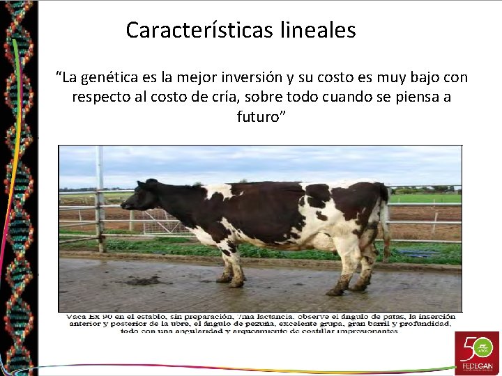 Características lineales “La genética es la mejor inversión y su costo es muy bajo