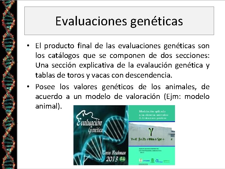 Evaluaciones genéticas • El producto final de las evaluaciones genéticas son los catálogos que