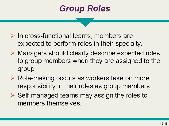 Group Roles Ø In cross-functional teams, members are expected to perform roles in their