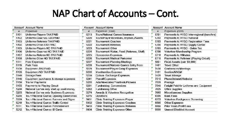 NAP Chart of Accounts – Cont. 