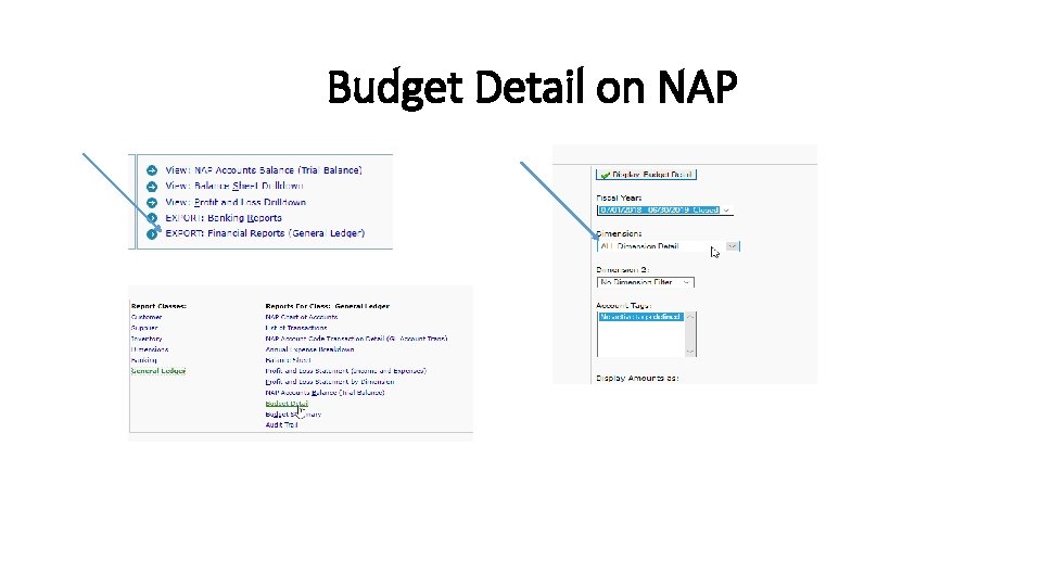 Budget Detail on NAP 
