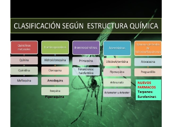 Piperaquina NUEVOS FARMACOS Terpenos: Euroleninas 