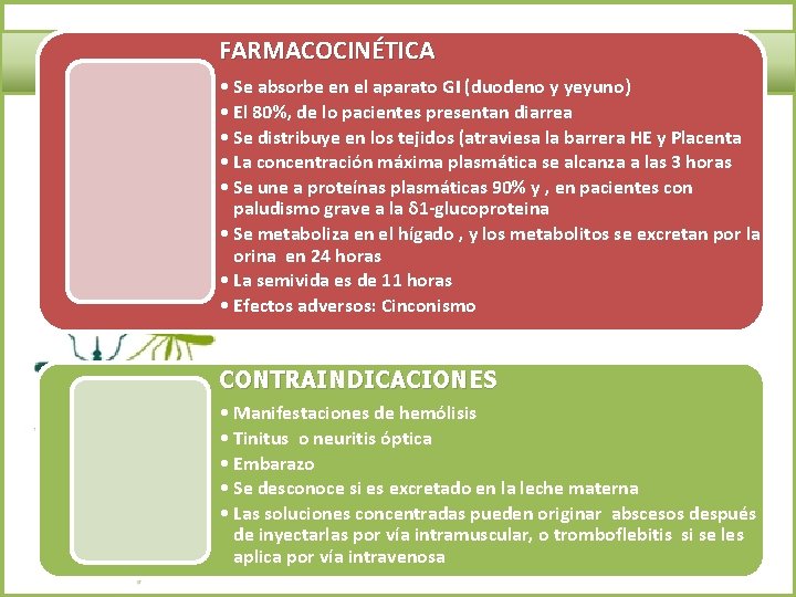 FARMACOCINÉTICA • Se absorbe en el aparato GI (duodeno y yeyuno) • El 80%,