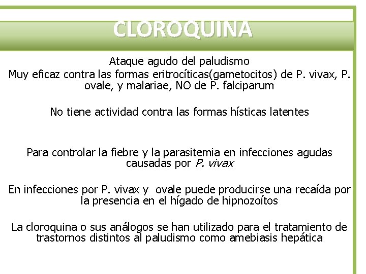 CLOROQUINA Ataque agudo del paludismo Muy eficaz contra las formas eritrocíticas(gametocitos) de P. vivax,