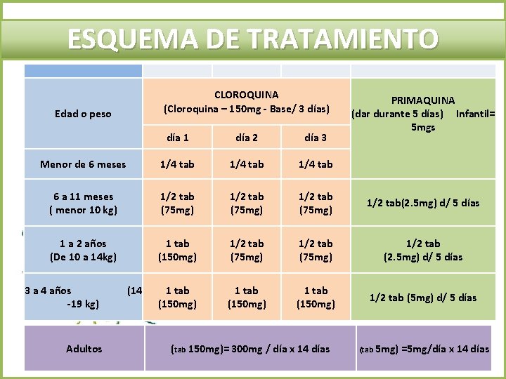 ESQUEMA DE TRATAMIENTO Edad o peso Menor de 6 meses CLOROQUINA PRIMAQUINA (Cloroquina –