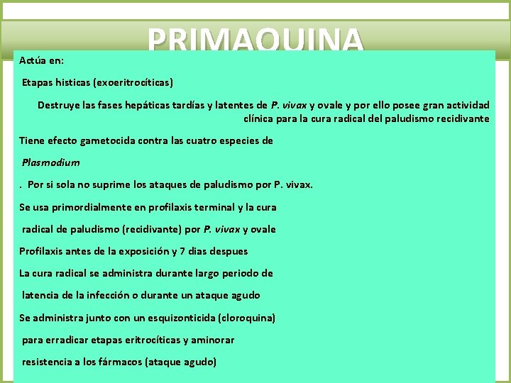 Actúa en: PRIMAQUINA Etapas histicas (exoeritrocíticas) Destruye las fases hepáticas tardías y latentes de