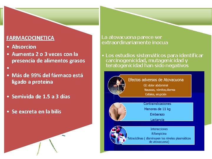 FARMACOCINETICA • Absorcion • Aumenta 2 o 3 veces con la presencia de alimentos