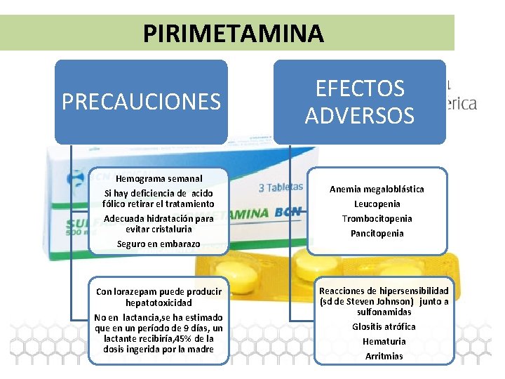  PIRIMETAMINA PRECAUCIONES Hemograma semanal Si hay deficiencia de acido fólico retirar el tratamiento