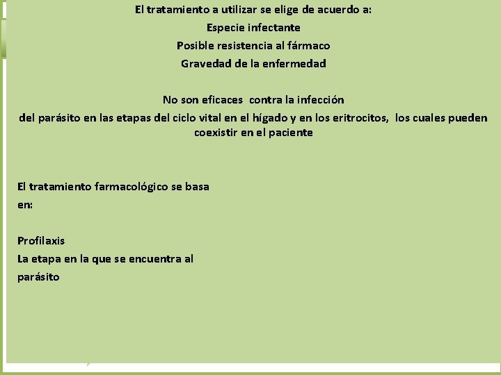 El tratamiento a utilizar se elige de acuerdo a: Especie infectante Posible resistencia al