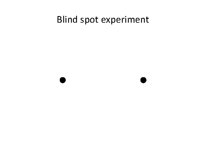 Blind spot experiment 