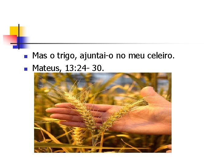 n n Mas o trigo, ajuntai-o no meu celeiro. Mateus, 13: 24 - 30.